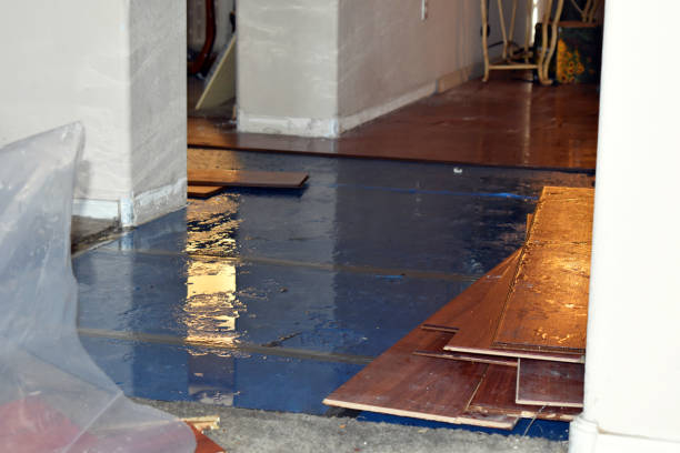 Professional Emergency Water Damage Restoration technician working in Linden, AZ